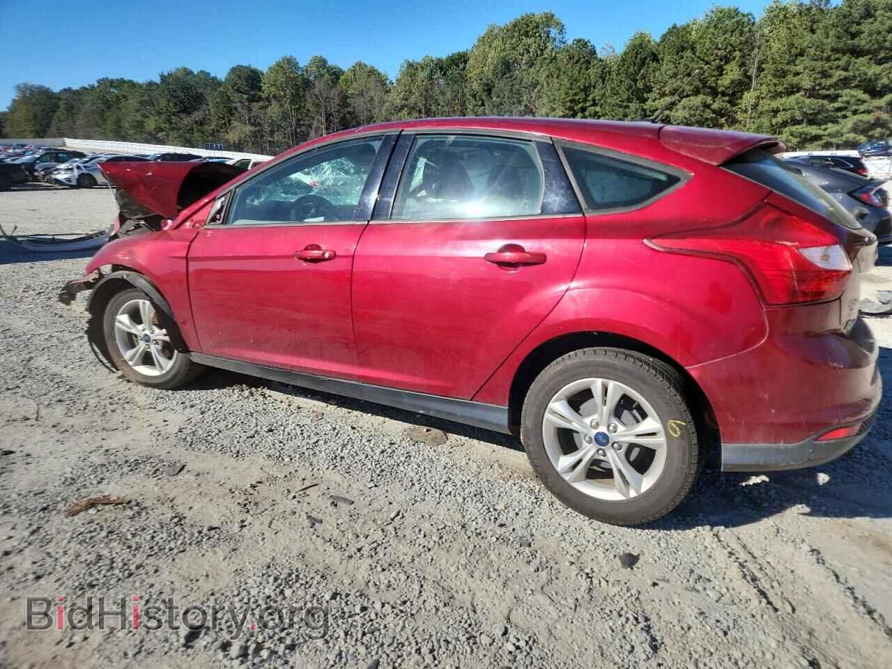 2013 FORD FOCUS - VIN: 1FADP3K2XDL214226 - Фото 2