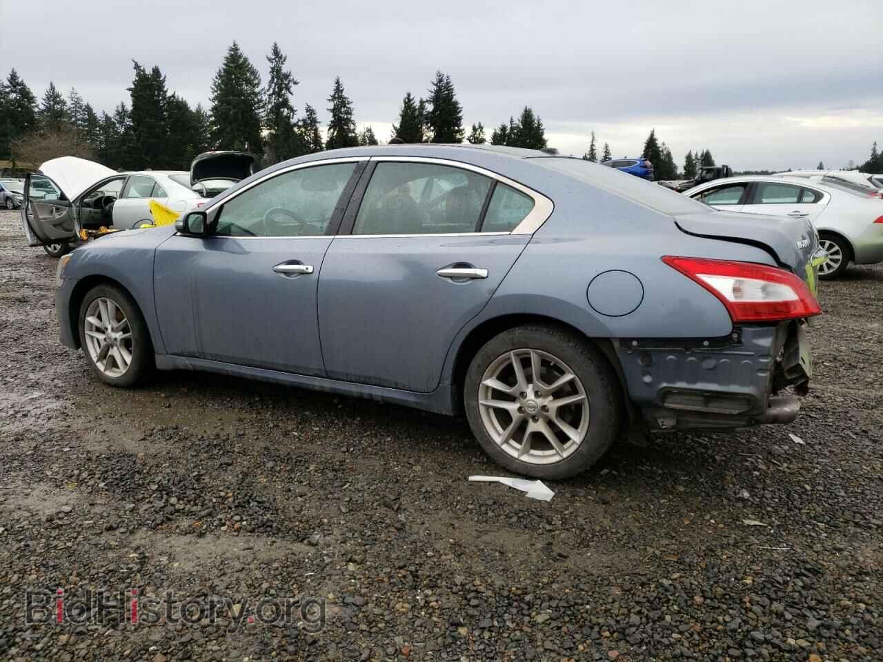 2011 NISSAN MAXIMA - VIN: 1N4AA5AP7BC860267 - Фото 2