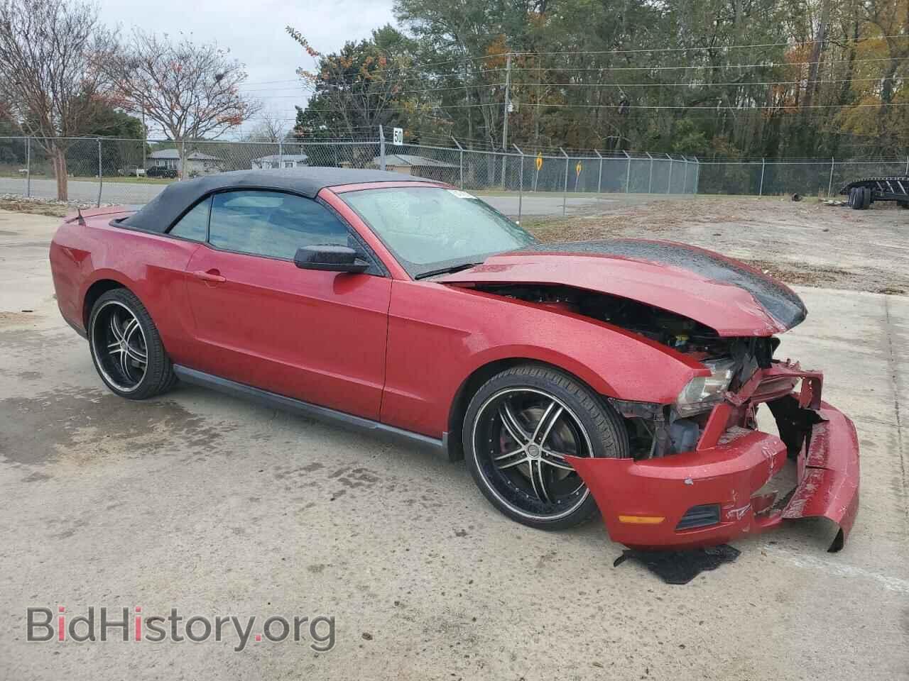2011 FORD ALL Models - VIN: 1ZVBP8EM8B5126401 - Photo 4