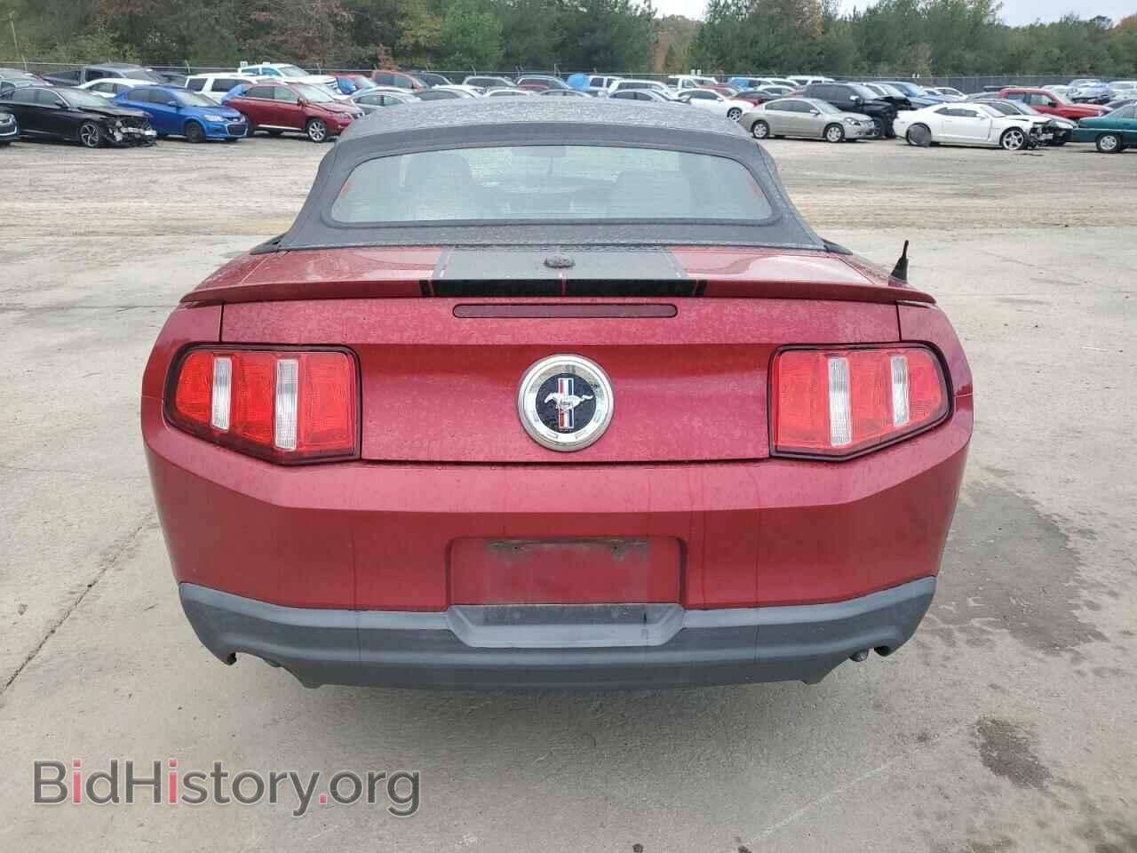 2011 FORD ALL Models - VIN: 1ZVBP8EM8B5126401 - Photo 6