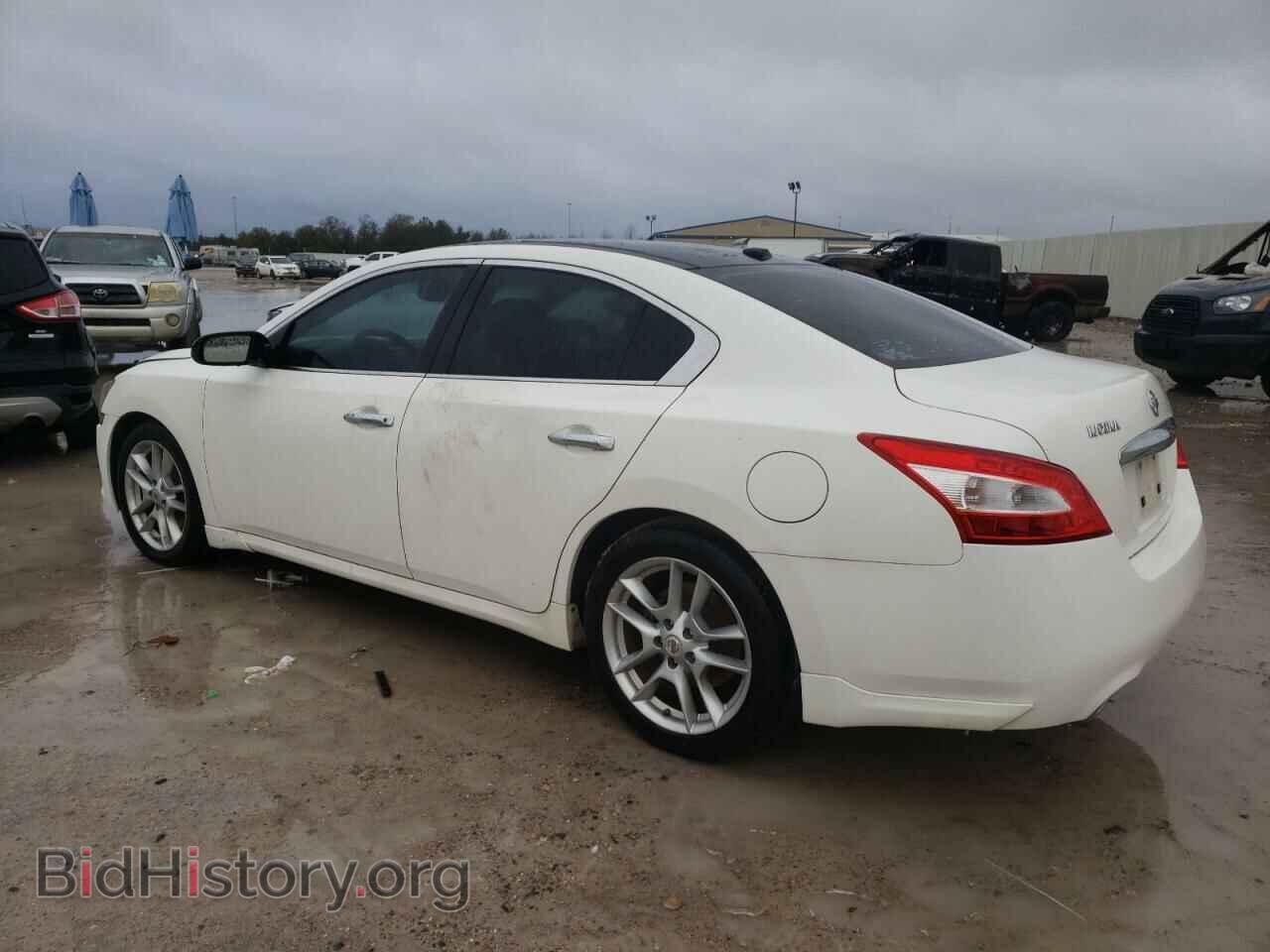 2011 NISSAN MAXIMA - VIN: 1N4AA5AP3BC800762 - Фото 2