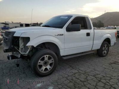 2009 Ford ALL MODELS, белый — VIN 1FTRF12W39KC82133, Copart