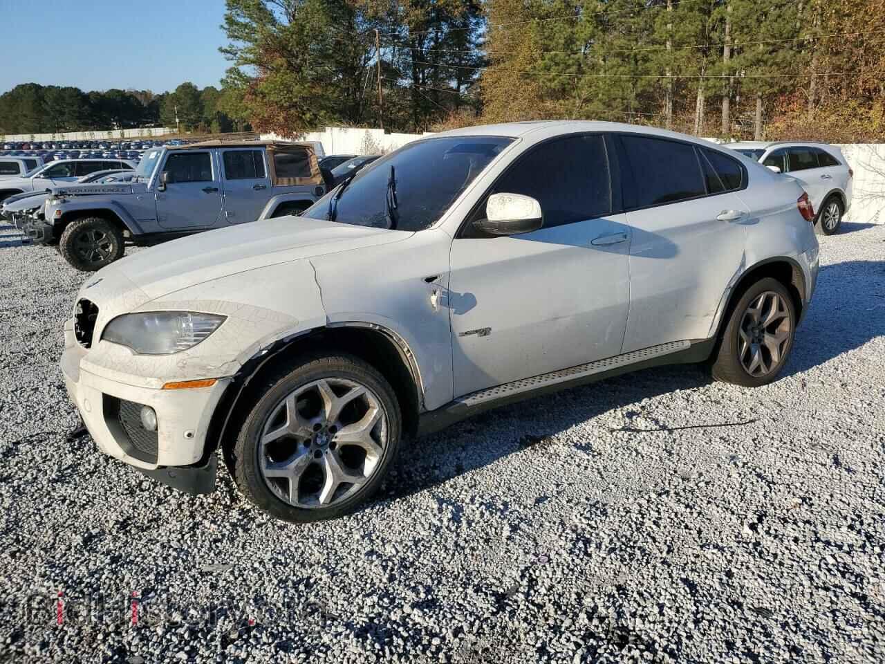 Photo 5UXFG2C56E0C44334 - BMW X6 2014
