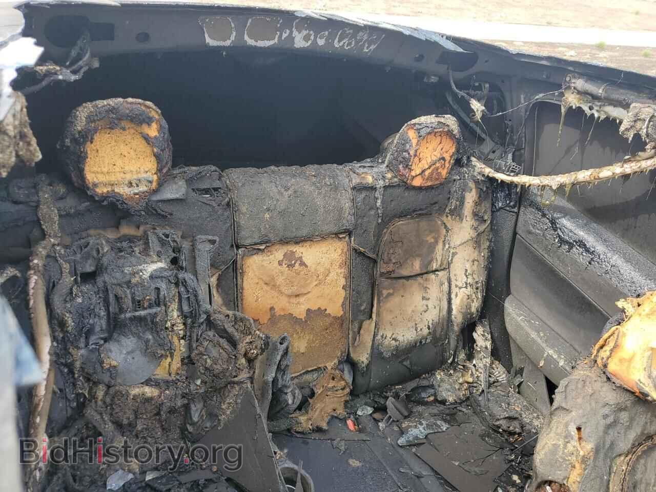 2024 TESLA MODEL Y - VIN: 7SAYGDEF4RF131467 - Фото 10