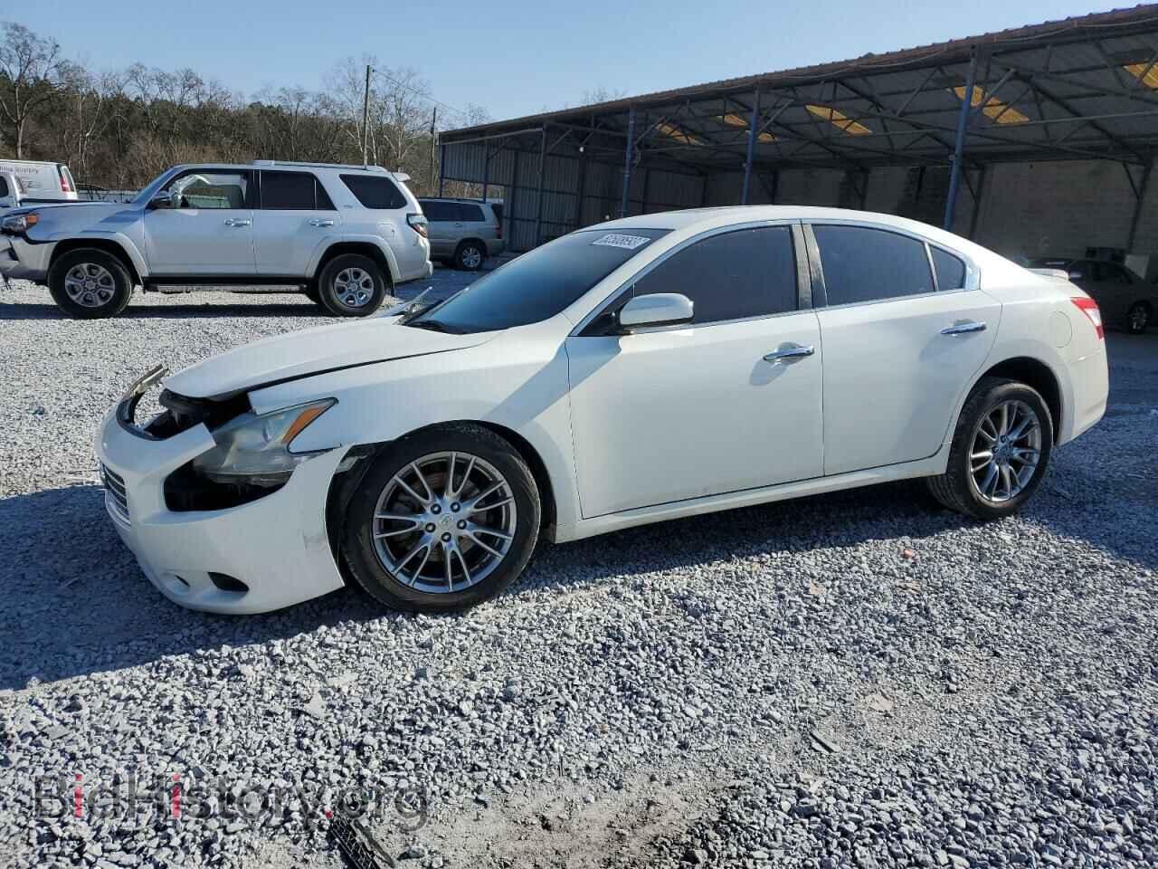 Photo 1N4AA51E19C816385 - NISSAN MAXIMA 2009