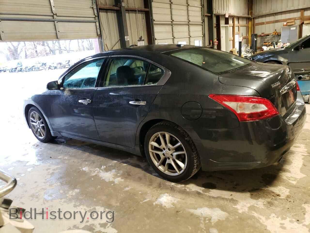 2010 NISSAN MAXIMA - VIN: 1N4AA5AP0AC849237 - Фото 2