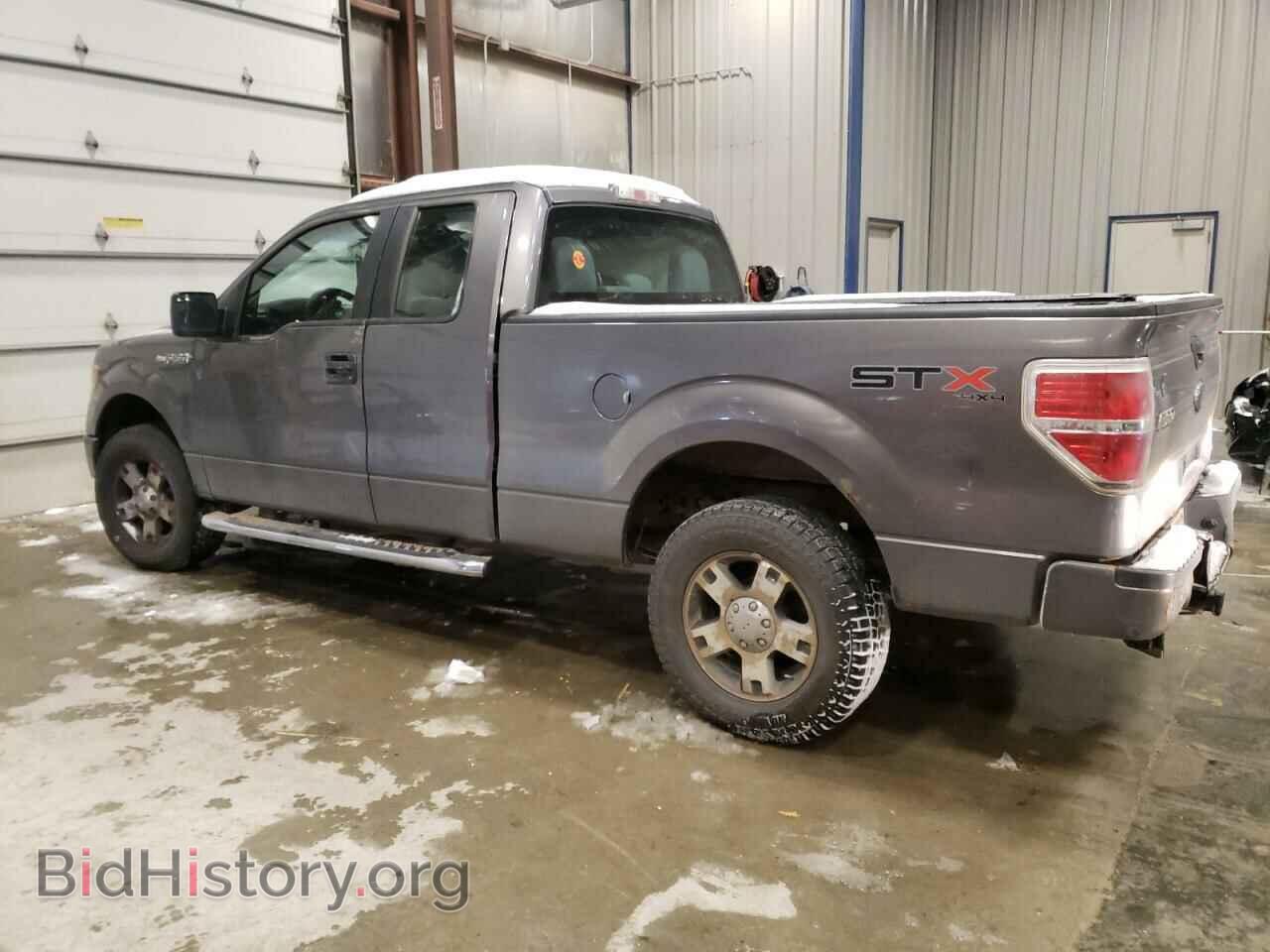 2013 FORD F-150 - VIN: 1FTFX1EF4DFD24029 - Фото 2