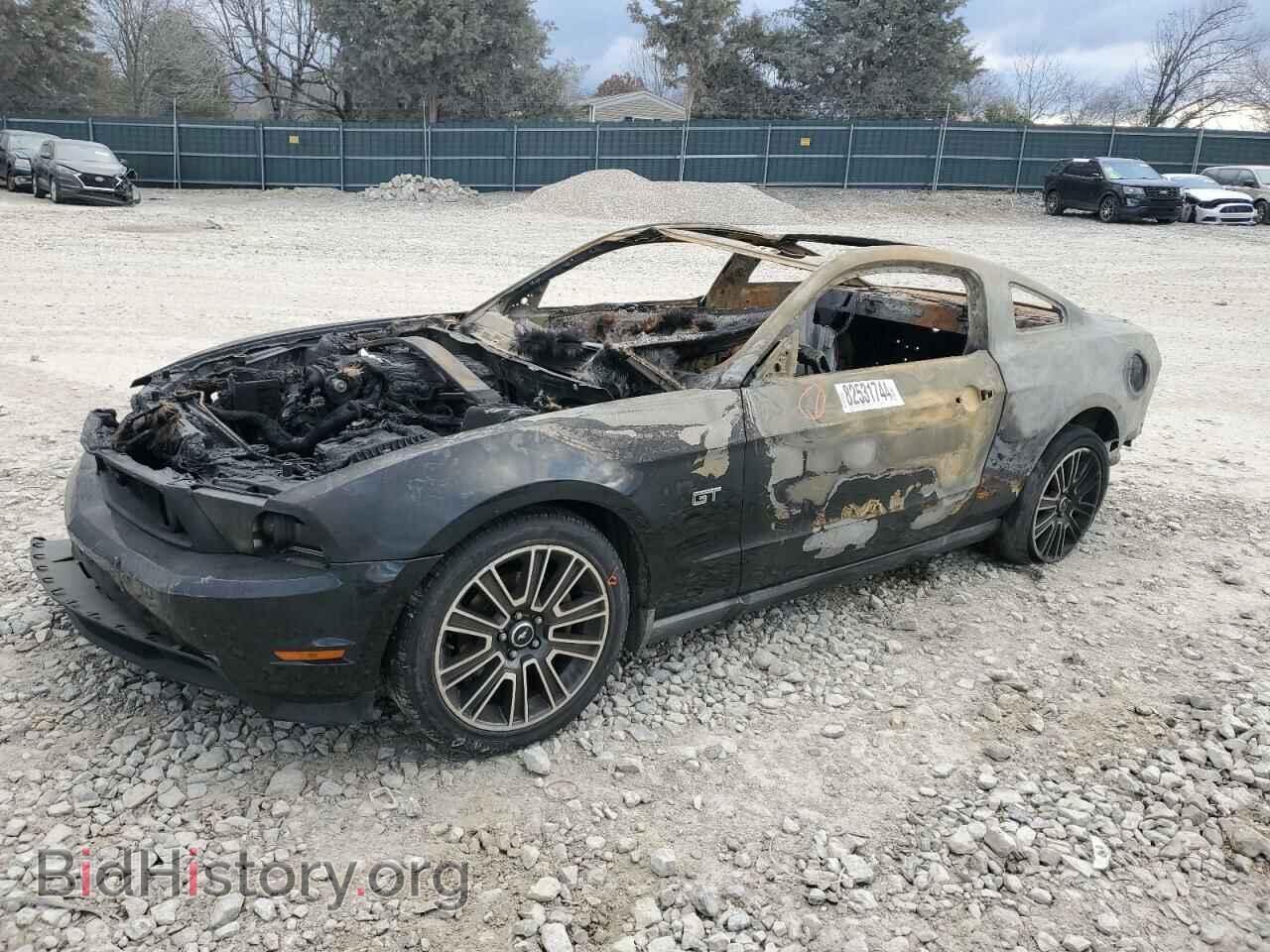 Фотография 1ZVBP8CH0A5123321 - FORD MUSTANG 2010