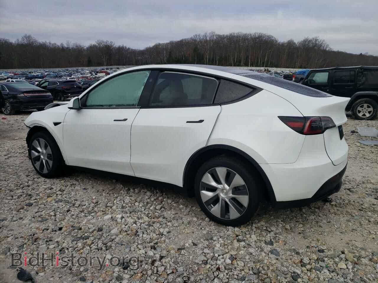 2024 TESLA MODEL Y - VIN: 7SAYGDEE0RA239959 - Фото 2