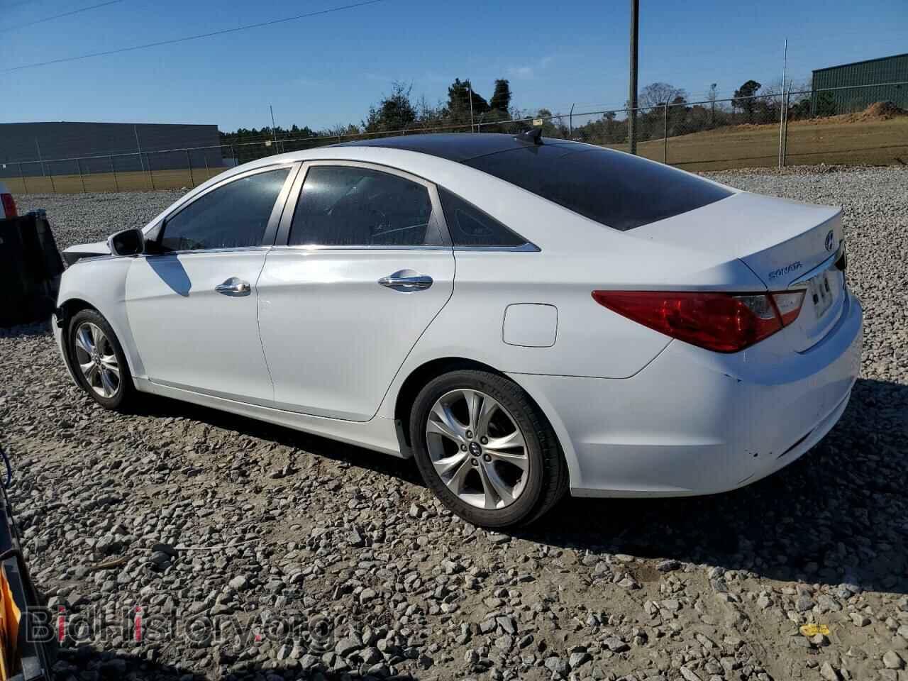 2013 HYUNDAI SONATA - VIN: 5NPEC4AC9DH611554 - Фото 2