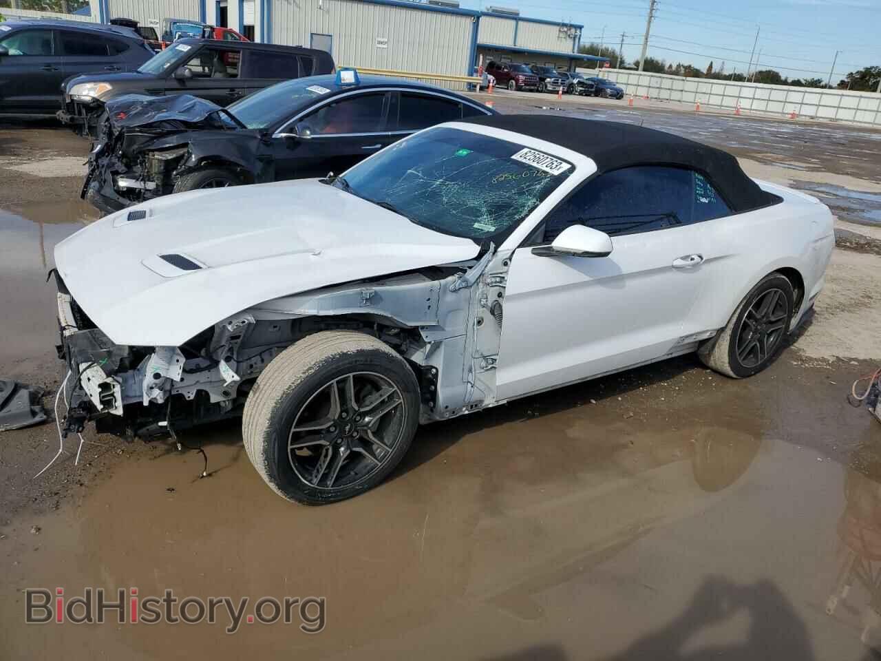 Фотография 1FATP8UH6K5162458 - FORD ALL Models 2019