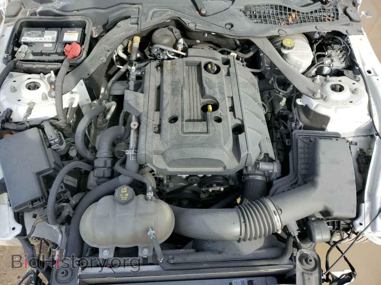 2019 FORD ALL Models - VIN: 1FATP8UH6K5162458 - Фото 11