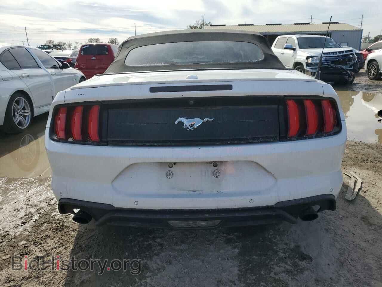 2019 FORD ALL Models - VIN: 1FATP8UH6K5162458 - Фото 6