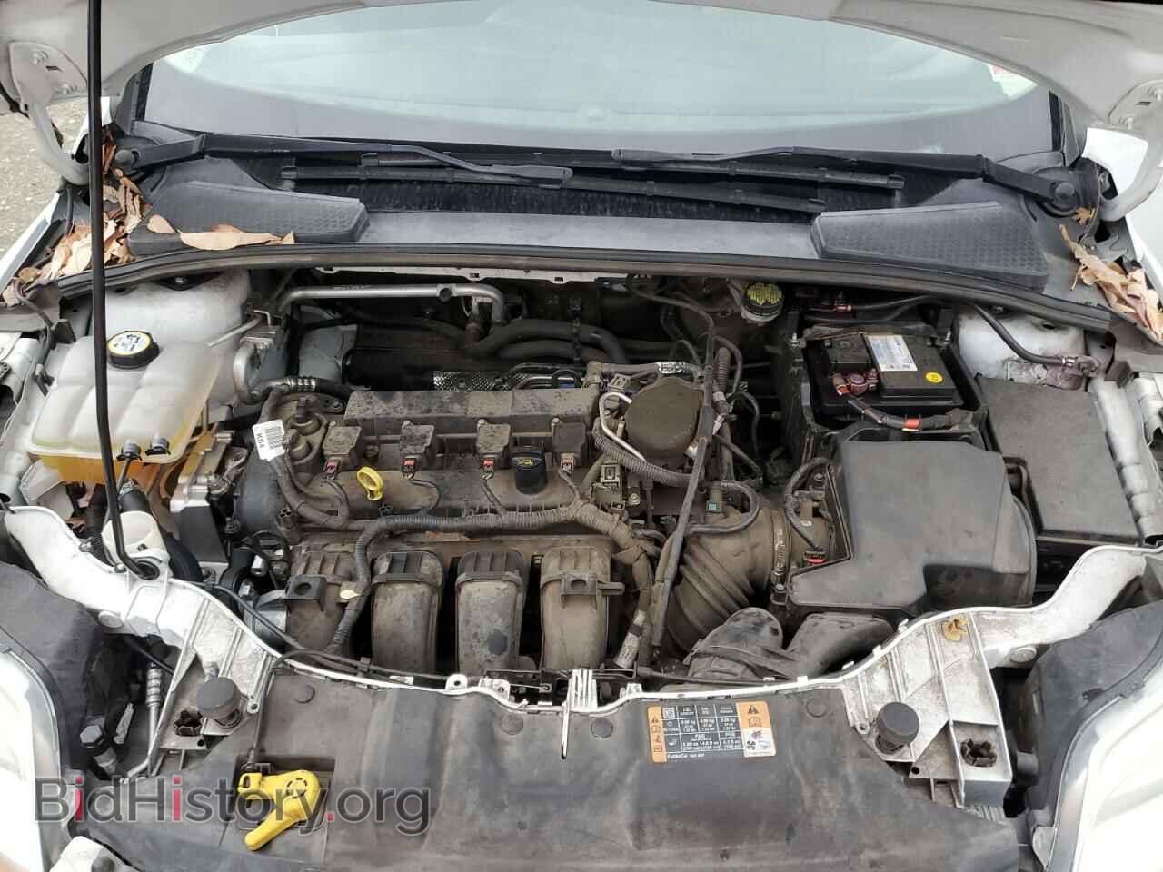 2014 FORD FOCUS - VIN: 1FADP3F20EL408341 - Photo 11