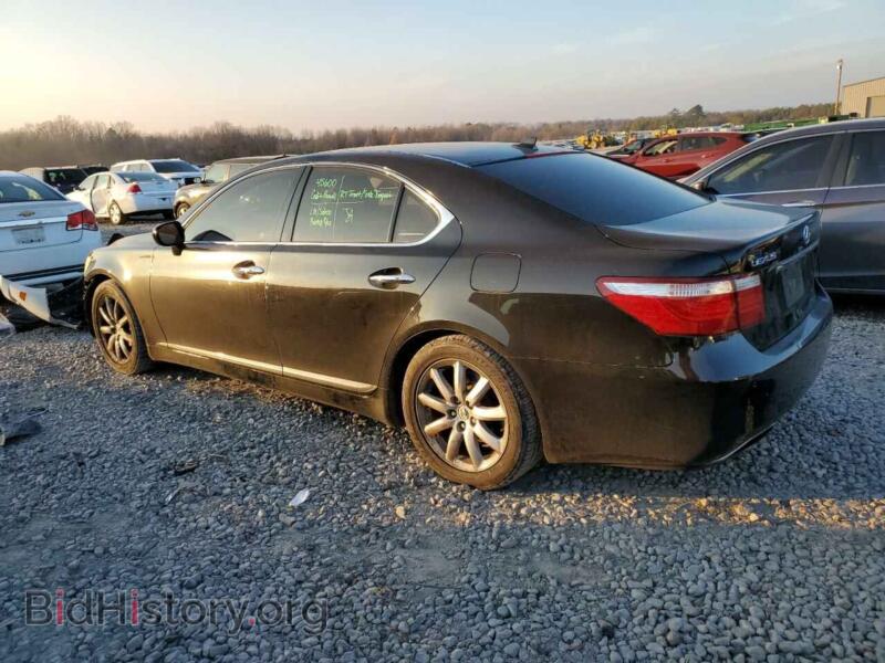 2008 Lexus LS460 (VIN JTHBL46F385067014) — photo 2 of 12