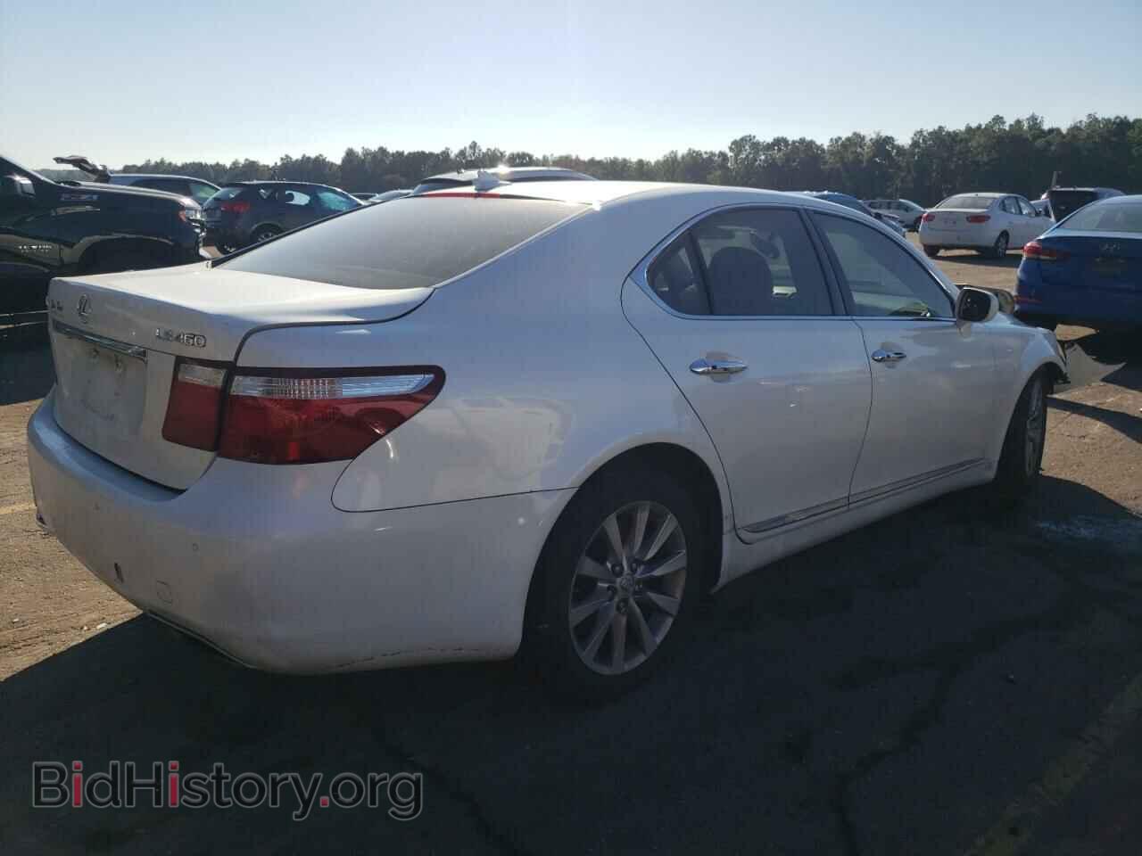 2009 LEXUS LS460 - VIN: JTHBL46FX95089724 - Фото 3
