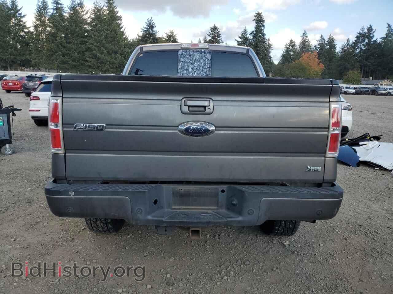 2010 FORD F-150 - VIN: 1FTFW1EV7AFB79204 - Фото 6