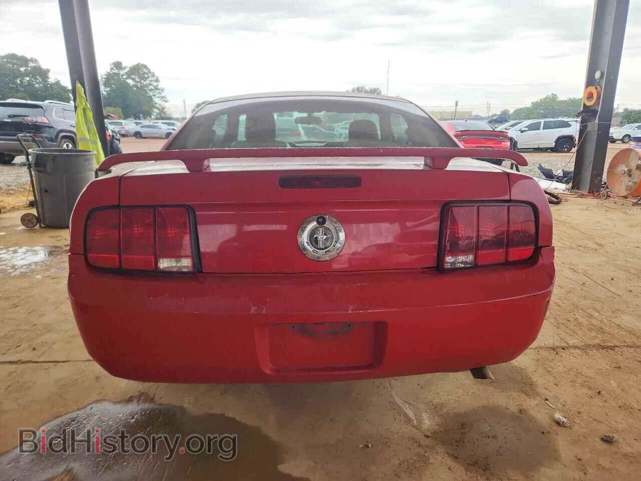 2005 FORD ALL Models - VIN: 1ZVFT80N455211513 - Фото 6