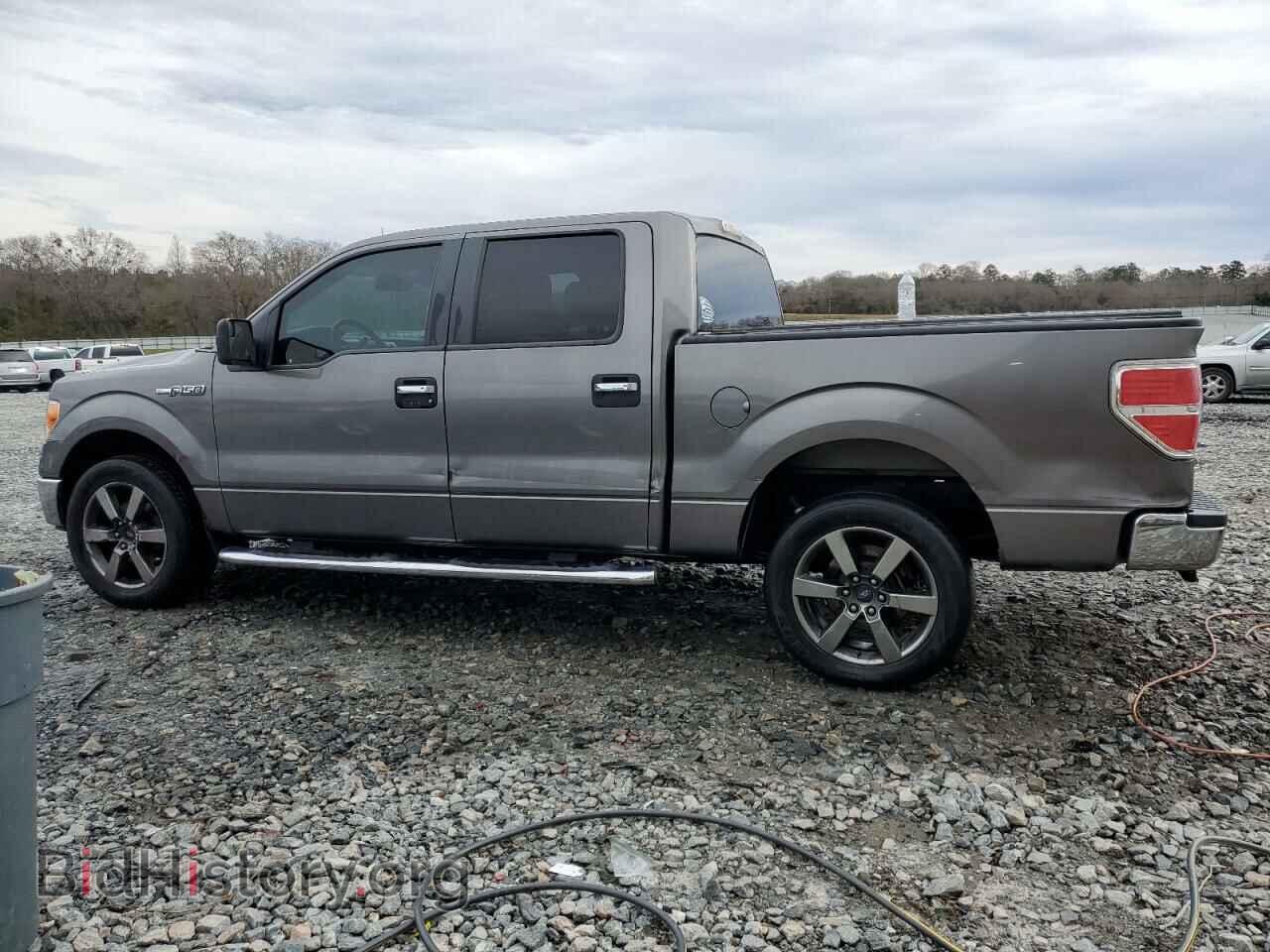 2013 FORD F-150 - VIN: 1FTFW1CF0DFC25231 - Фото 2