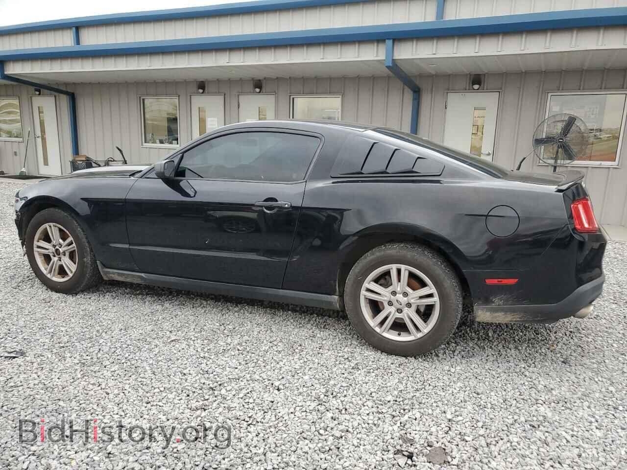 2012 FORD ALL Models - VIN: 1ZVBP8AM7C5266186 - Фото 2