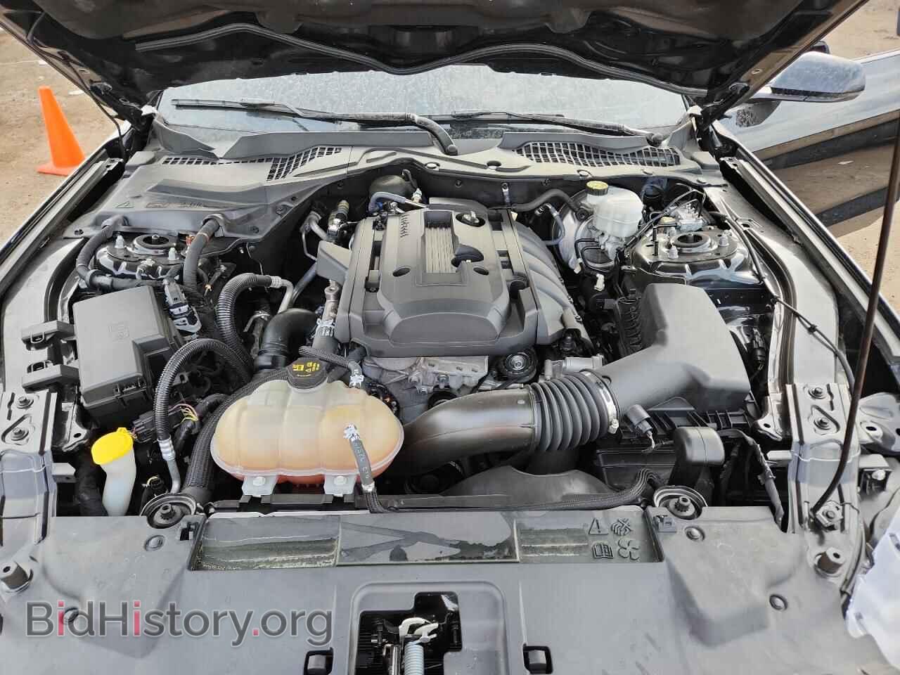 2019 FORD ALL Models - VIN: 1FA6P8TH2K5131027 - Фото 11