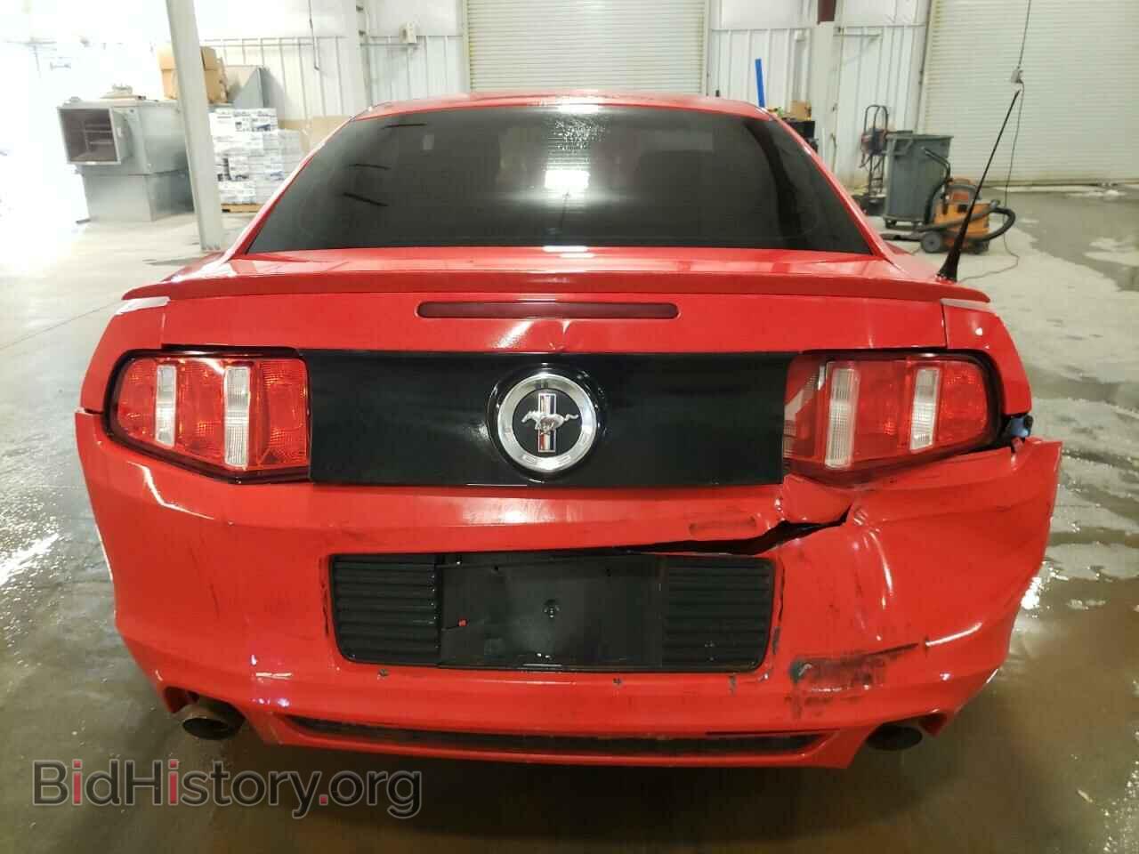 2013 FORD ALL Models - VIN: 1ZVBP8AM2D5255453 - Фото 6