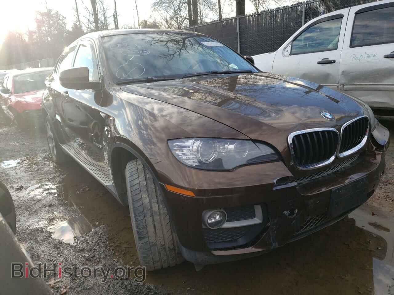 Photo 5UXFG2C59E0C43310 - BMW X6 2014