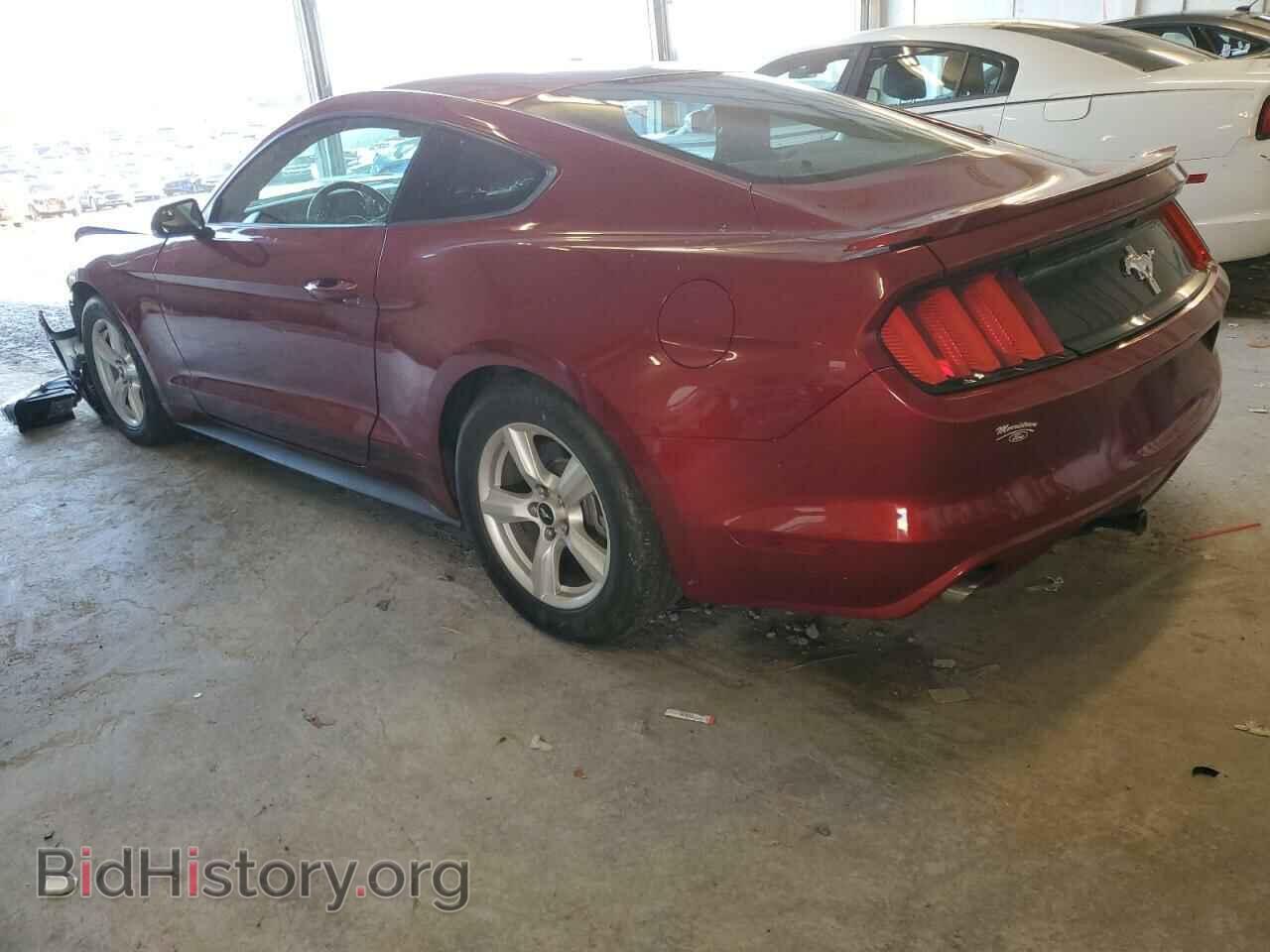 2017 FORD ALL Models - VIN: 1FA6P8AM0H5264846 - Фото 2