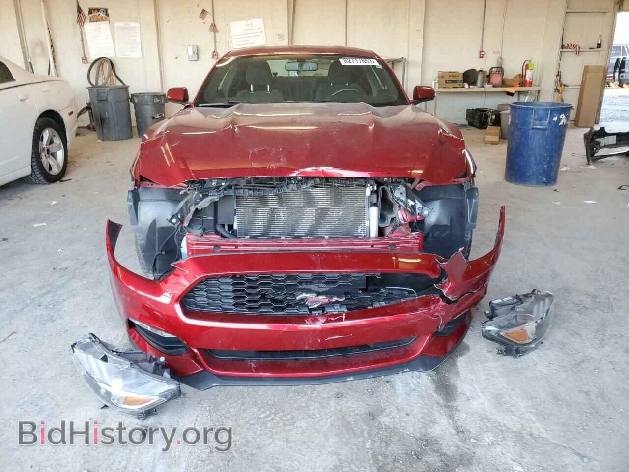 2017 FORD ALL Models - VIN: 1FA6P8AM0H5264846 - Фото 5