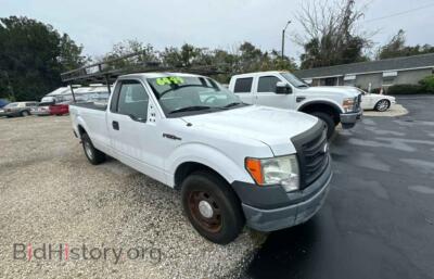 2014 Ford ALL MODELS F150, белый — VIN 1FTPF1CF6EKG24352, Copart