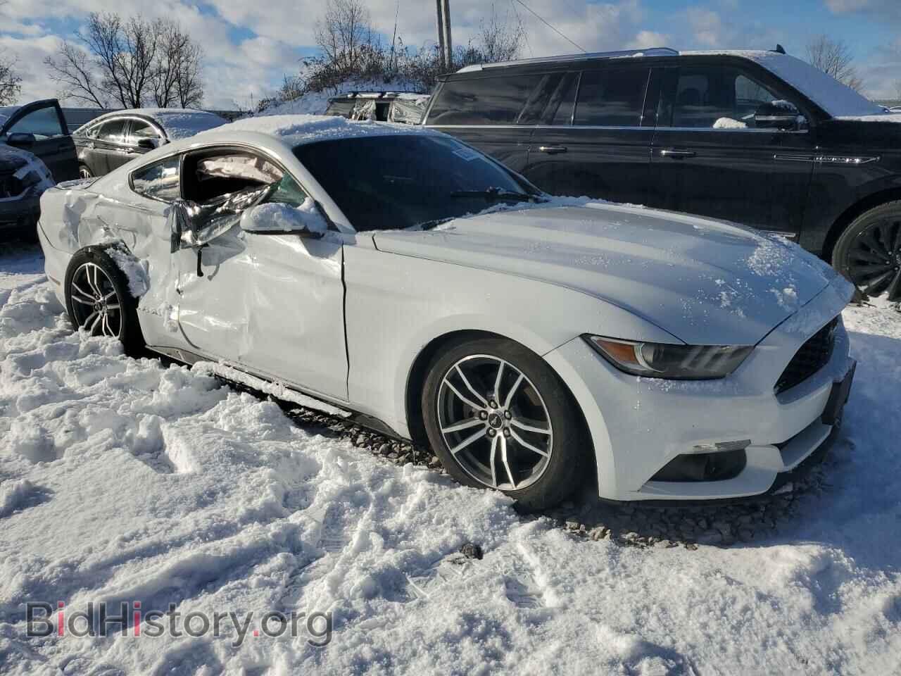 2017 FORD ALL Models - VIN: 1FA6P8TH8H5219766 - Photo 4