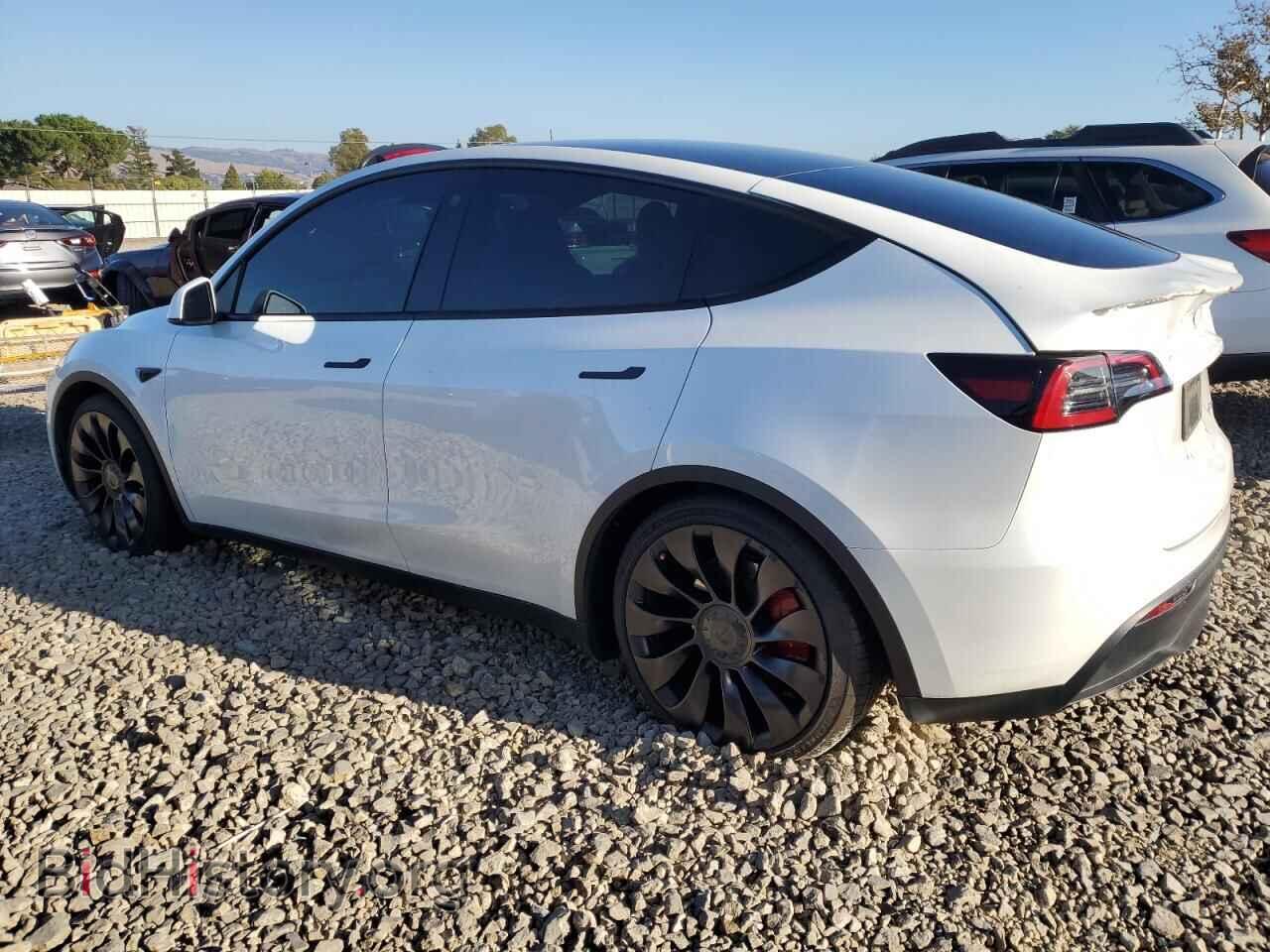 2023 TESLA MODEL Y - VIN: 7SAYGDEF2PF740036 - Фото 2