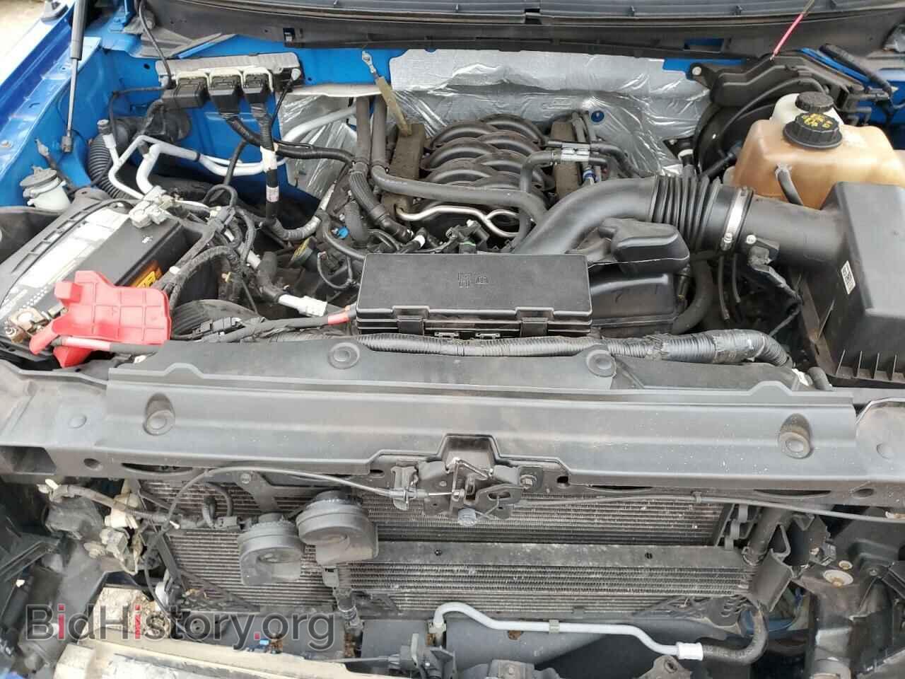 2013 FORD F-150 - VIN: 1FTFX1EFXDFC25229 - Фото 11
