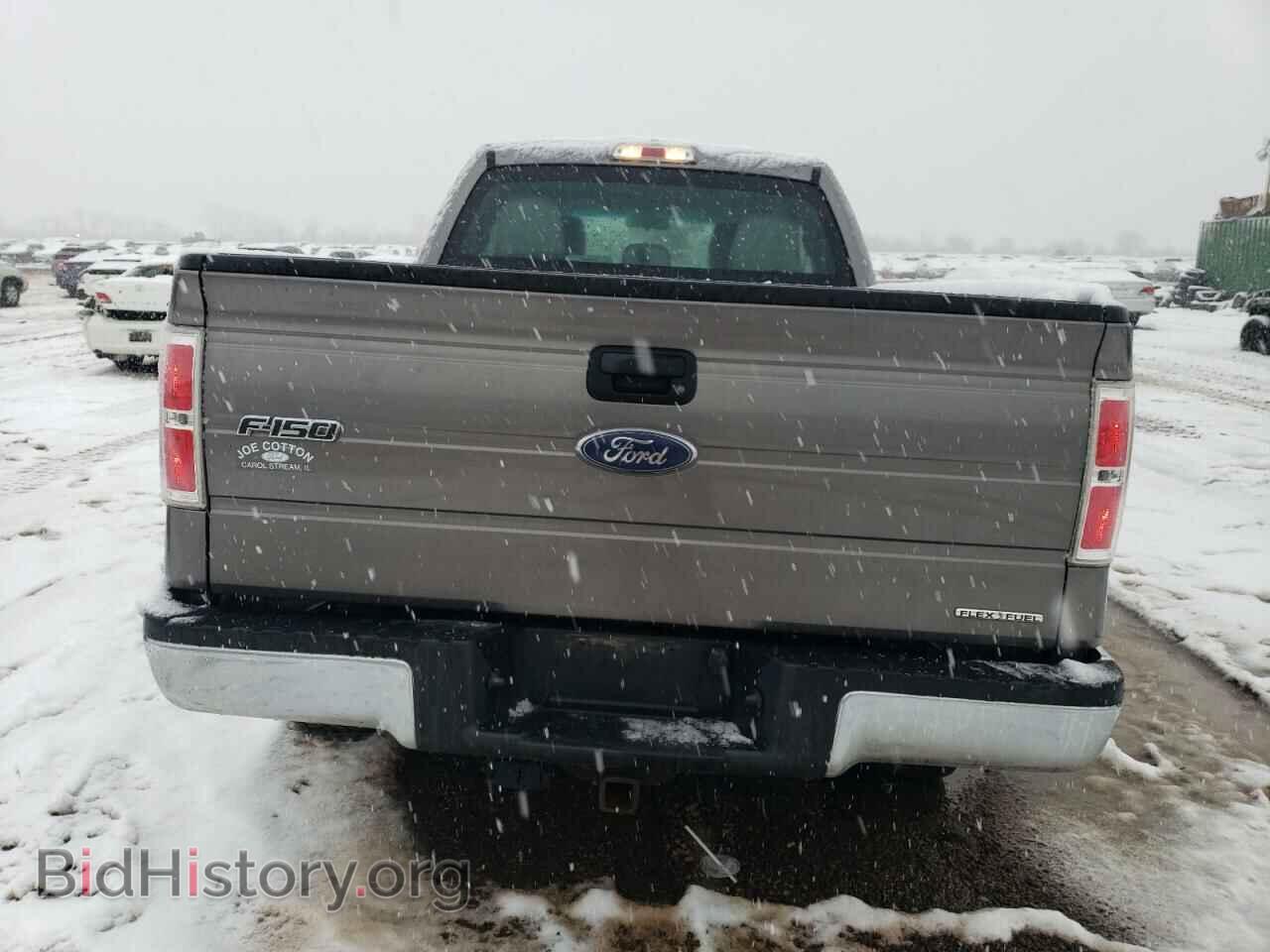 2013 FORD F-150 - VIN: 1FTFX1EF8DFA02638 - Фото 6