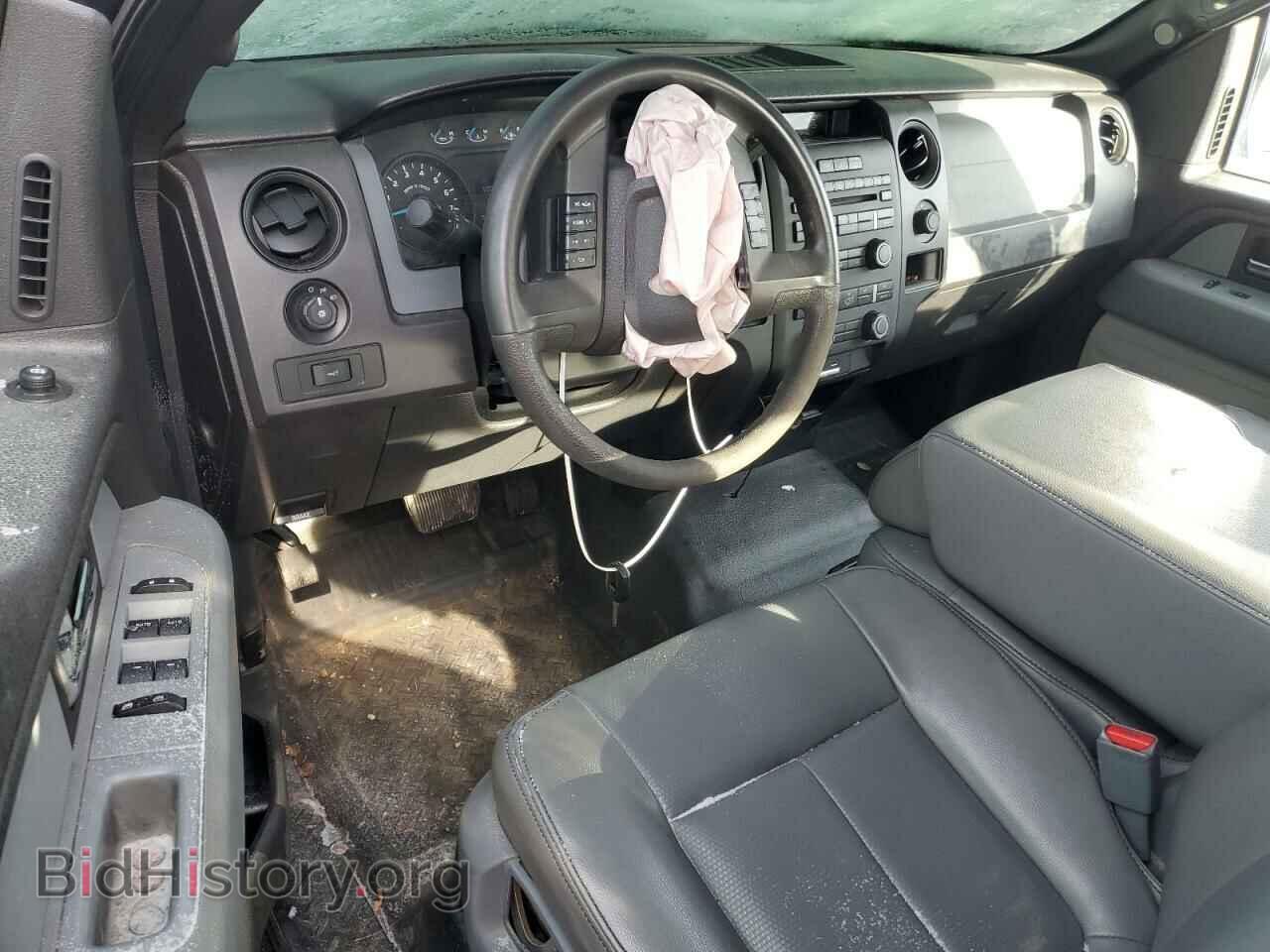 2013 FORD F-150 - VIN: 1FTFX1EF8DFA02638 - Фото 8