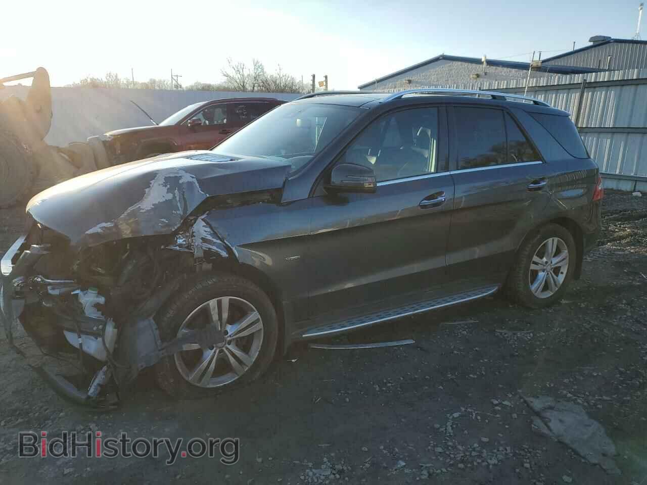 Photo 4JGDA5HB8CA089084 - MERCEDES-BENZ M-CLASS 2012