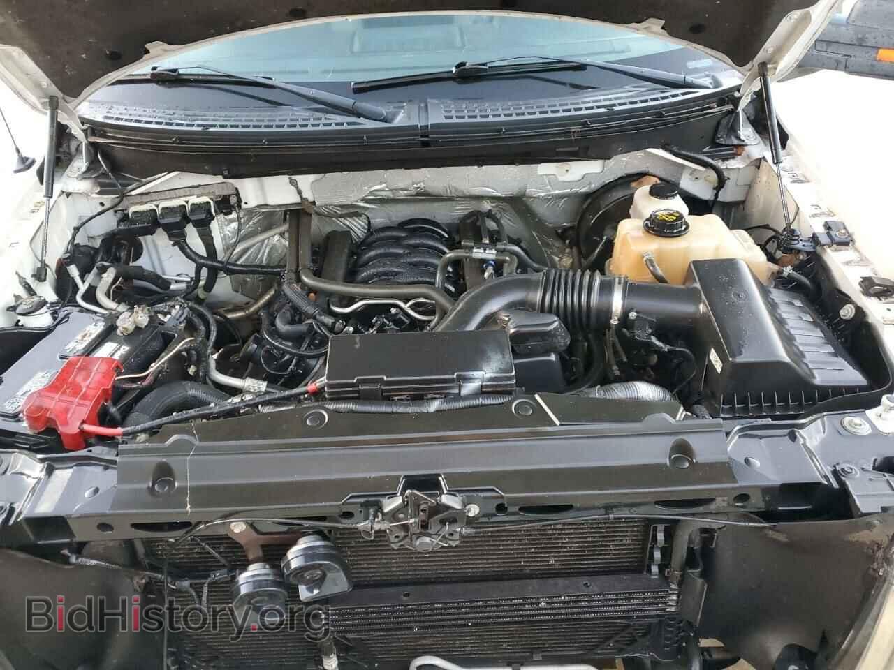 2013 FORD F-150 - VIN: 1FTFW1CF2DKD79480 - Фото 11
