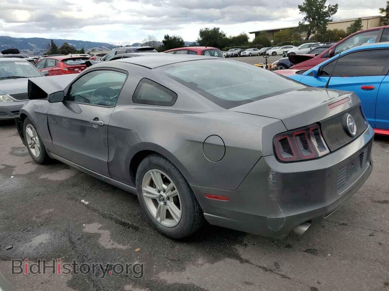 2014 FORD ALL Models - VIN: 1ZVBP8AM9E5212715 - Фото 2