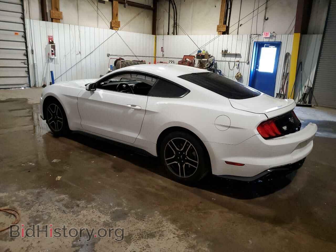 2019 FORD ALL Models - VIN: 1FA6P8THXK5114542 - Photo 2