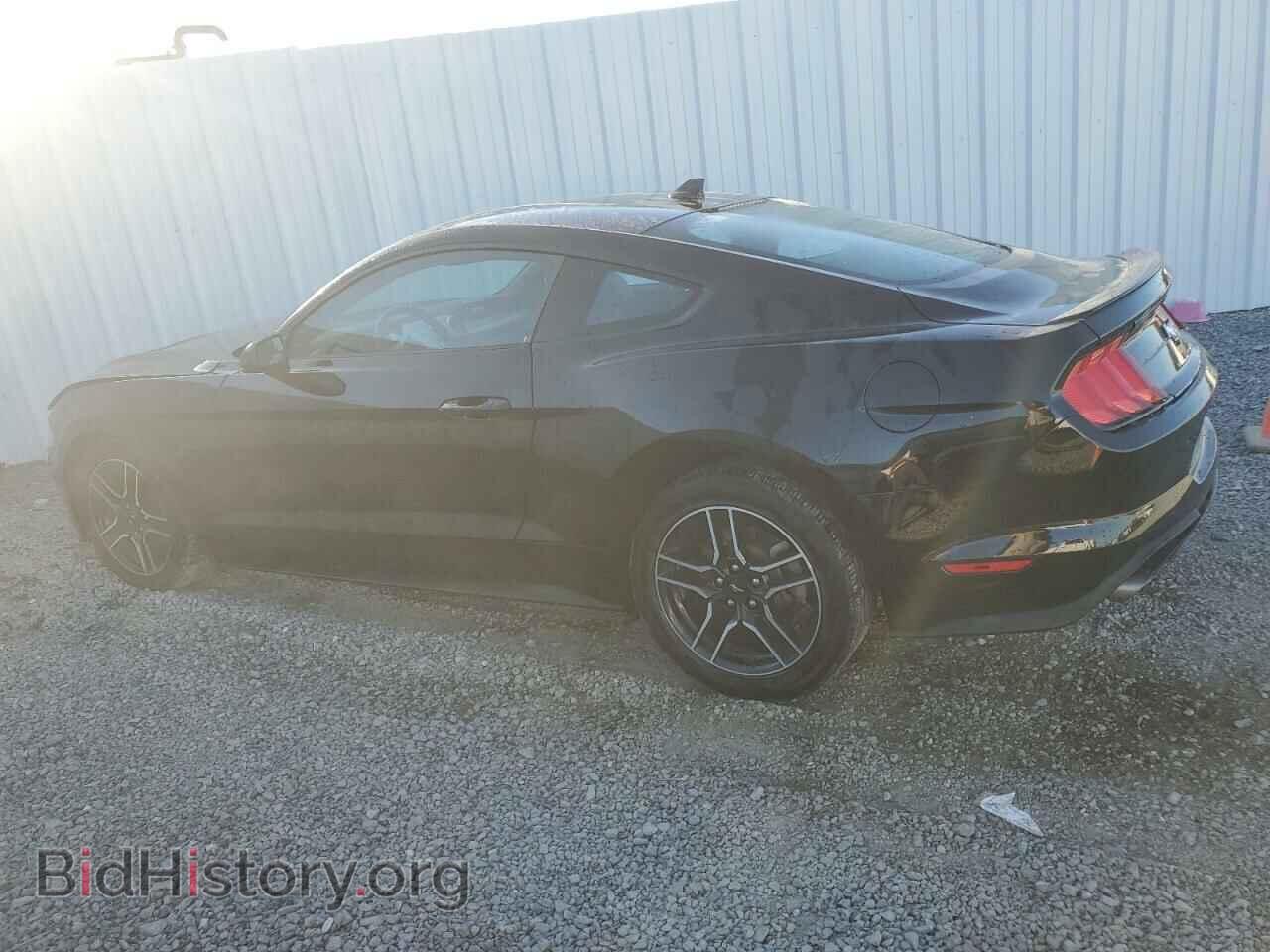 2023 FORD ALL Models - VIN: 1FA6P8TH5P5110048 - Фото 2