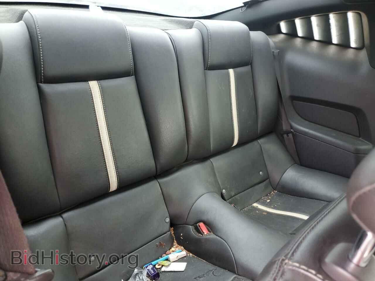 2010 FORD MUSTANG - VIN: 1ZVBP8CH0A5149451 - Фото 10