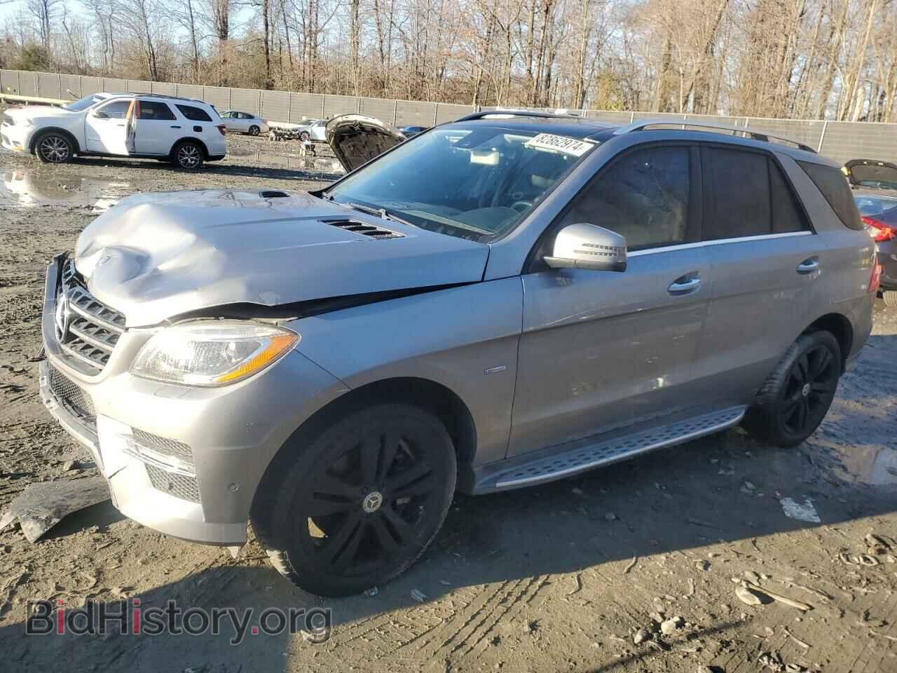 Photo 4JGDA7DB9CA049890 - MERCEDES-BENZ M-CLASS 2012