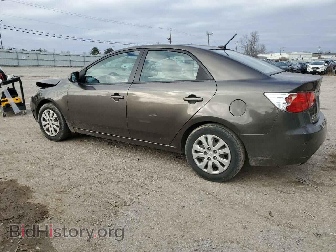 2011 KIA FORTE - VIN: KNAFU4A21B5425137 - Фото 2