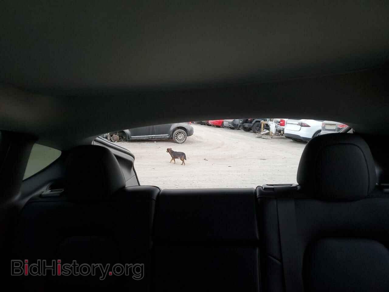 2022 TESLA MODEL Y - VIN: 7SAYGDEE5NF370687 - Фото 10