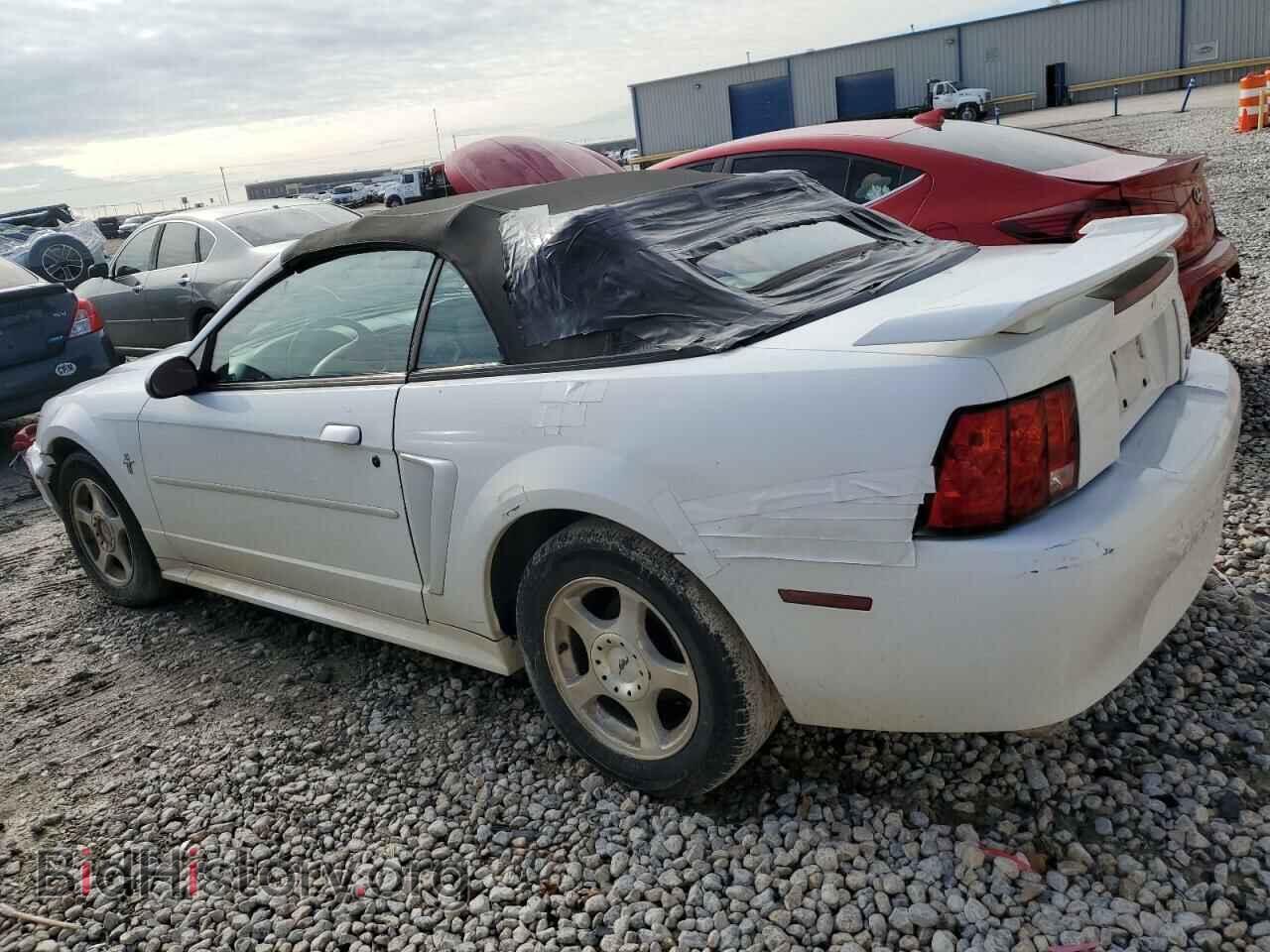 2003 FORD ALL Models - VIN: 1FAFP44473F386580 - Фото 2