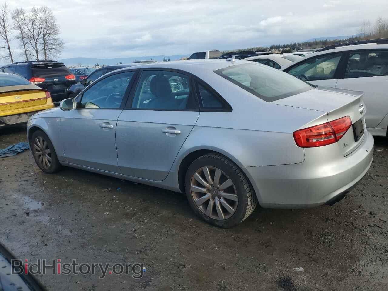 2013 AUDI A4 - VIN: WAUAFAFL3DN010571 - Фото 2