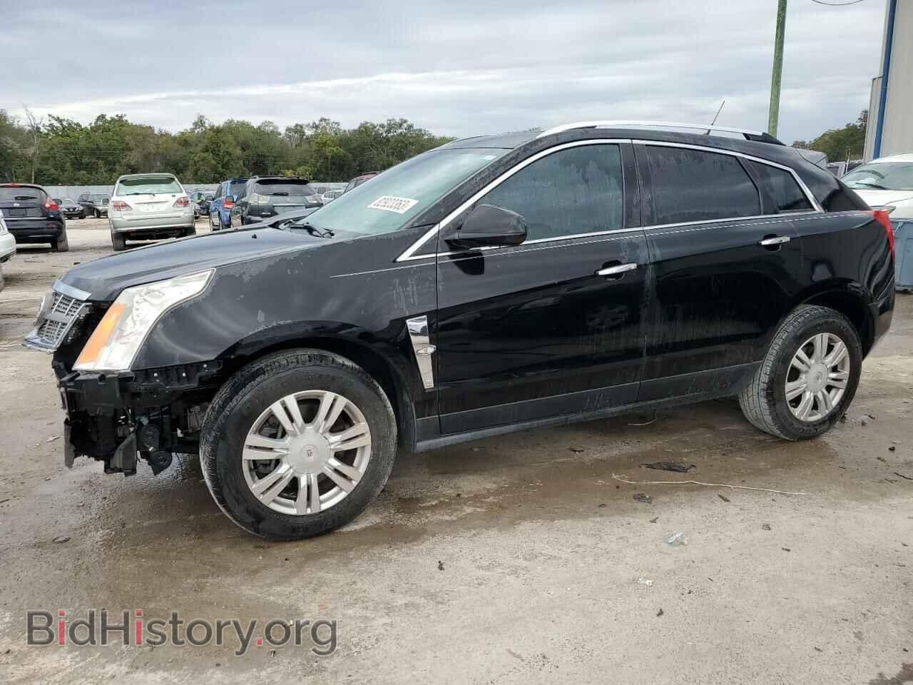 Фотография 3GYFNAEY0AS536547 - CADILLAC SRX 2010