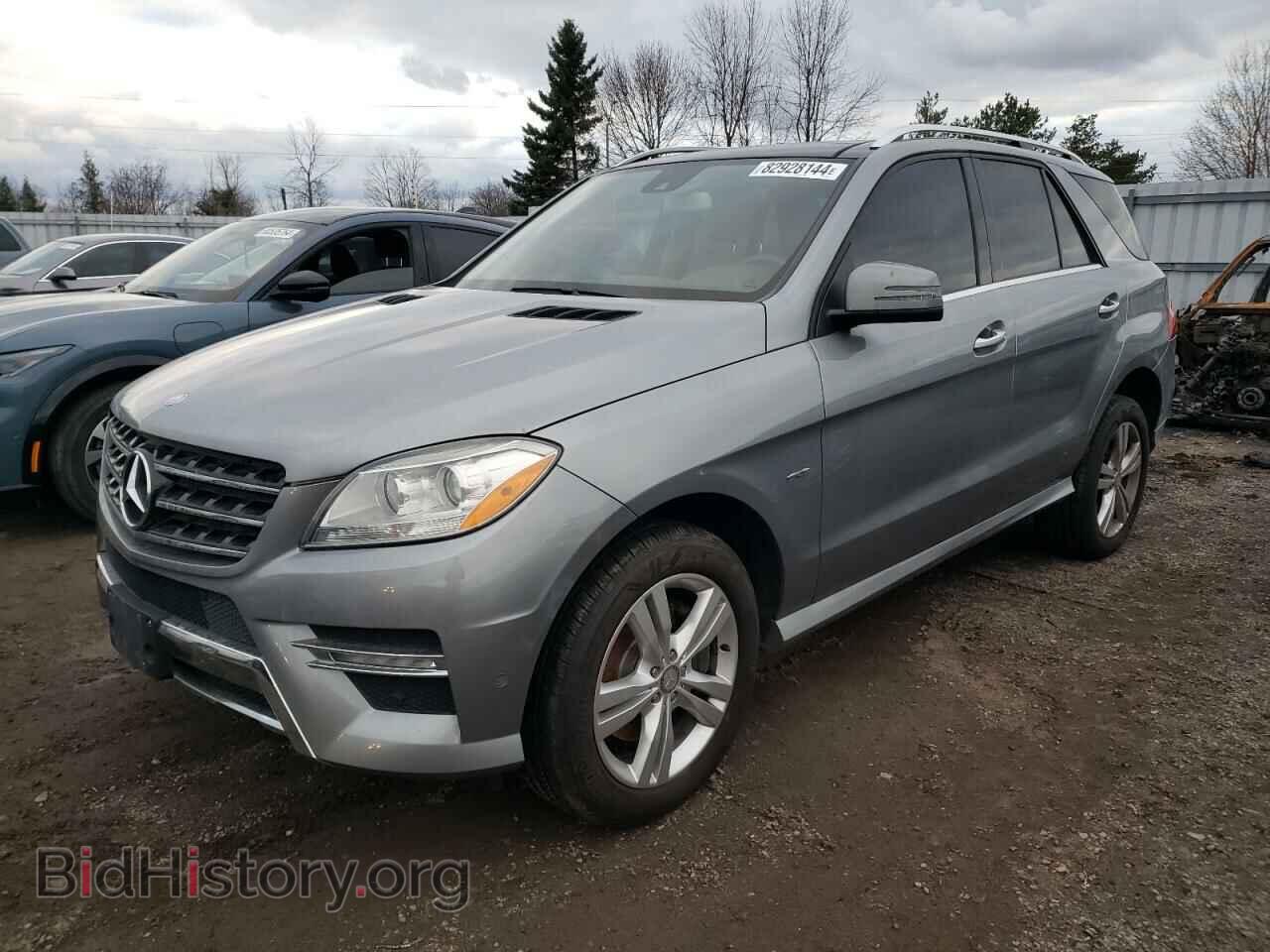 Photo 4JGDA2EB5CA010649 - MERCEDES-BENZ M-CLASS 2012