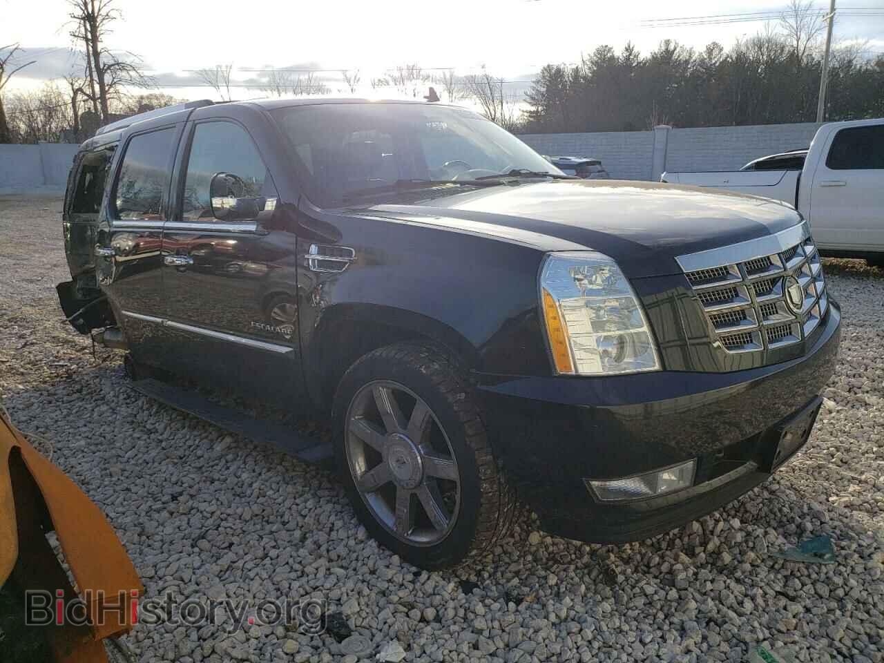 2010 CADILLAC ESCALADE - VIN: 1GYUKCEF8AR173203 - Фото 4