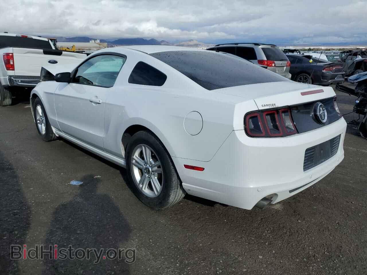 2014 FORD ALL Models - VIN: 1ZVBP8AM3E5250439 - Фото 2